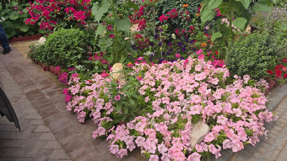 Flower & Seasonal Planting